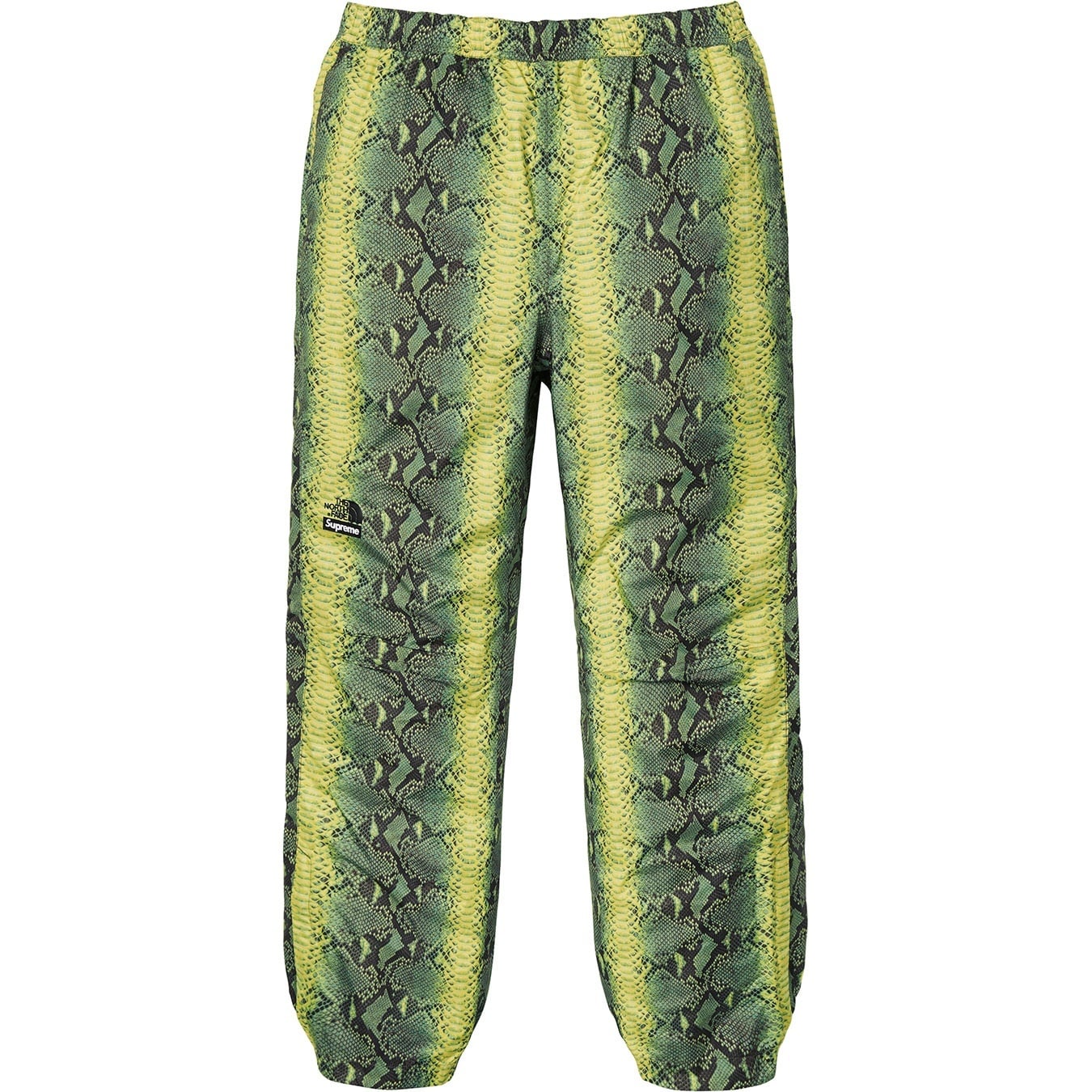 Supreme®/The North Face® Snakeskin Taped Seam Pant view 2